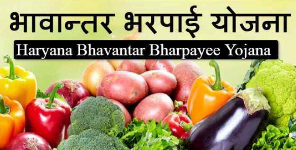 haryana bhavantar bharpai yojana 2024 , haryana farmer scheme 2024 ,